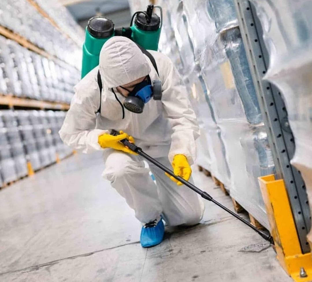 بهترین شرکت سمپاشی منزل در پردیس + قیمت و نکات مهم